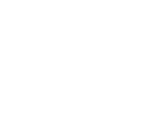 An American Company Since 1925