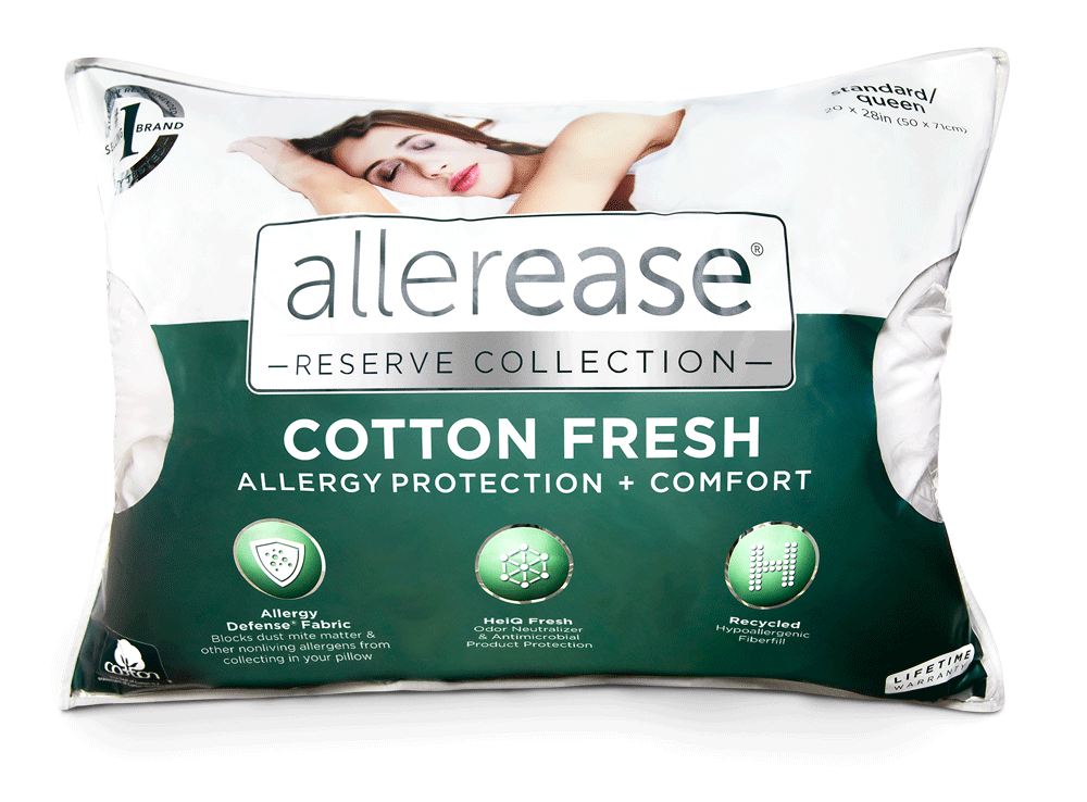 Cotton Fresh Pillow