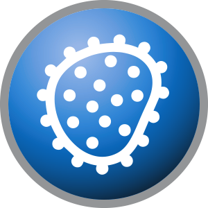 Mold Spores